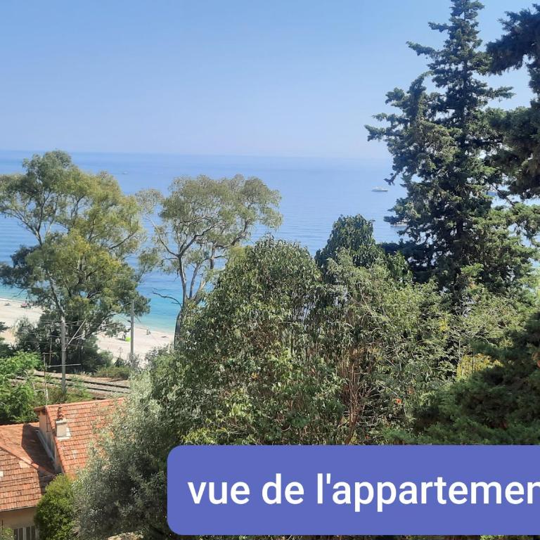 Le Golfe bleu - Appartement - Vue sur Mer - 2