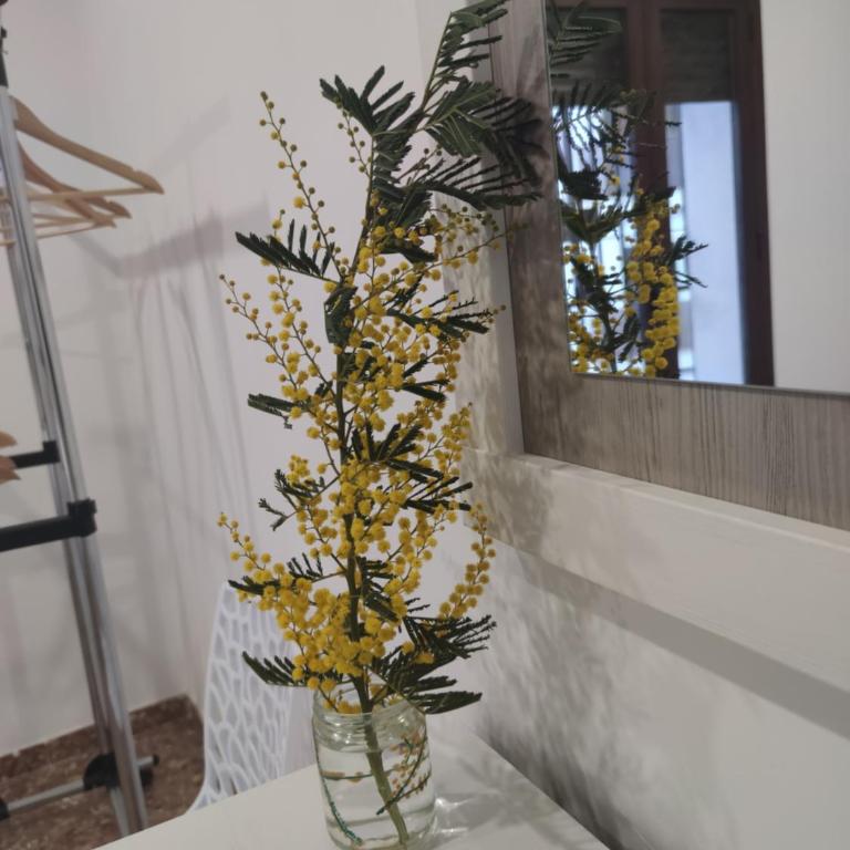La Casa de la Mimosa - Apartamento de 1 dormitorio - 25