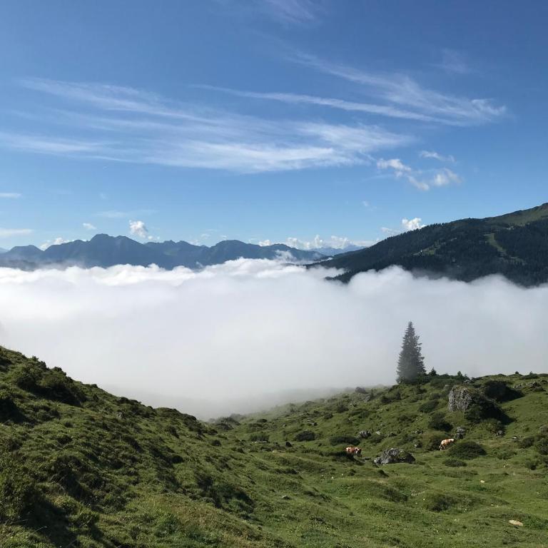 Bio Schartenalm - Chalet mit 3 Schlafzimmern - 9