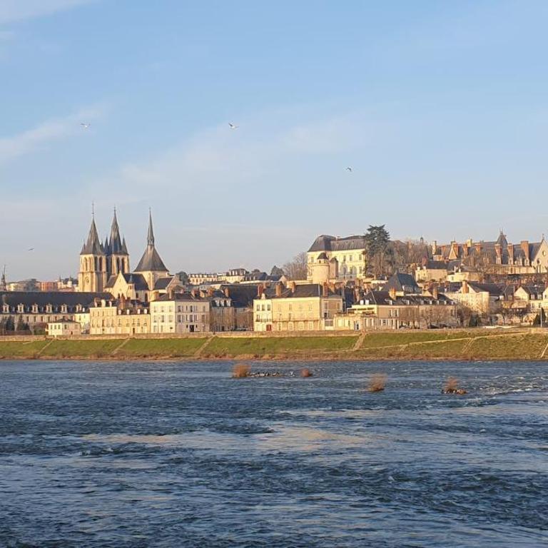 Duplex 60 m2 bord de Loire - Apartment - auf 2 Etagen - 20