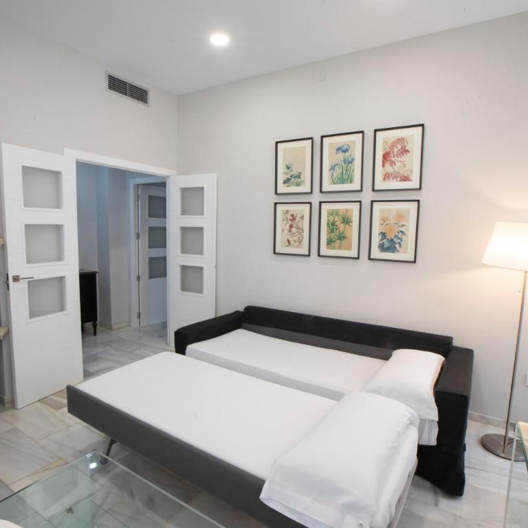 Apartamentos Alfonso XIII Parking Opcional - Apartamento con terraza - 35