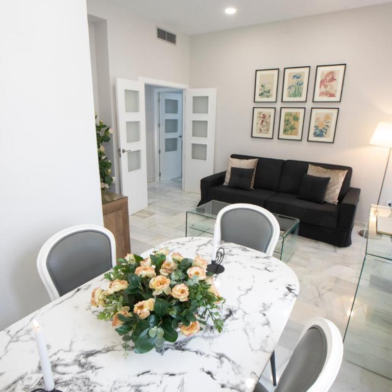 Apartamentos Alfonso XIII Parking Opcional - Apartamento con terraza - 65