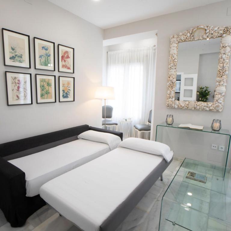 Apartamentos Alfonso XIII Parking Opcional - Apartamento con terraza - 67