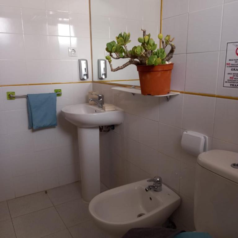 Apartamento Las Vistas 3 - Apartamento de 1 dormitorio - 35