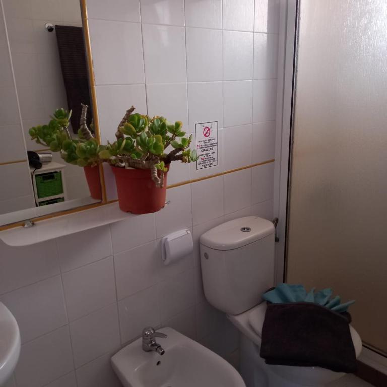 Apartamento Las Vistas 3 - Apartamento de 1 dormitorio - 34