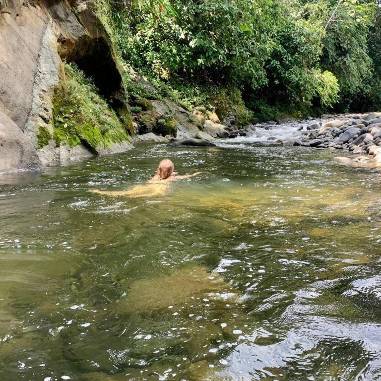 Wild Wasi Lodge - Adventures - Guided Tours - Villa de 1 dormitorio - 72