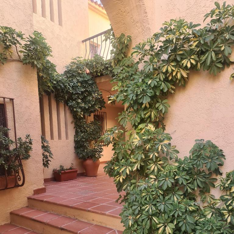 apartamento en lujoso puerto deportivo - Apartment mit 1 Schlafzimmer - 29