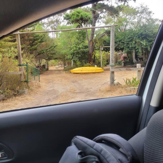 Relax en laguna Garzón, José Ignacio - Apartamento de 1 dormitorio - 15