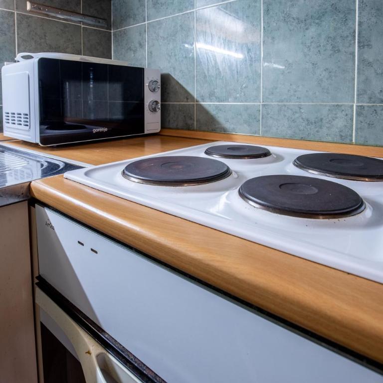 Zlatiborski šumski stan - One-Bedroom Apartment - 10