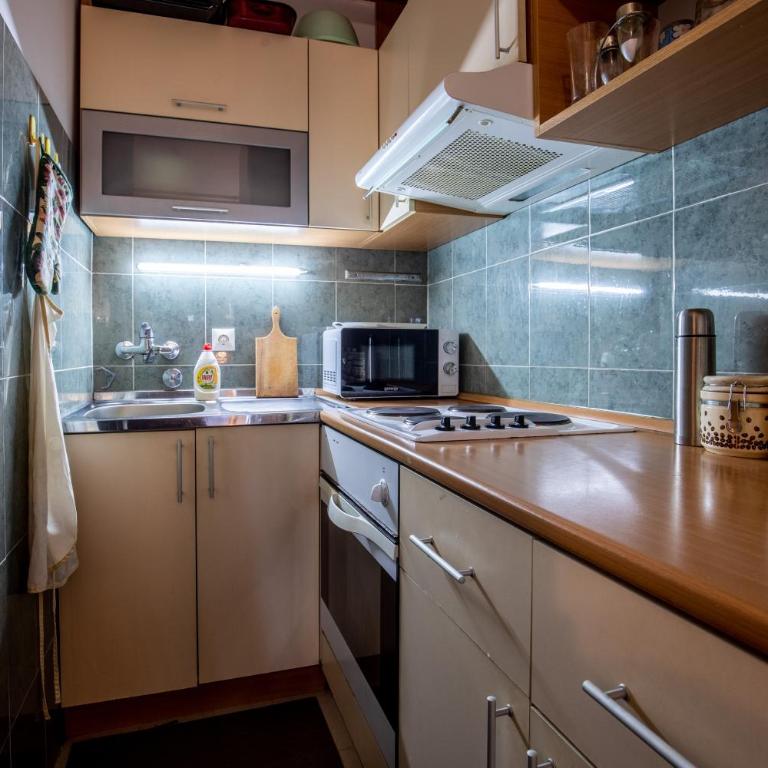Zlatiborski šumski stan - One-Bedroom Apartment - 4