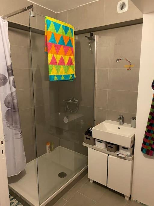Bel Appartement 1 chambre à 50m de la plage - Apartment mit 1 Schlafzimmer - 12