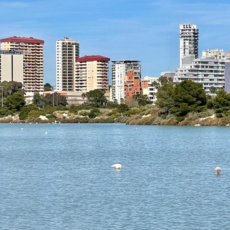 2 Bedrooms Apartment in Calpe LARIMAR - Two-Bedroom Apartment - 43
