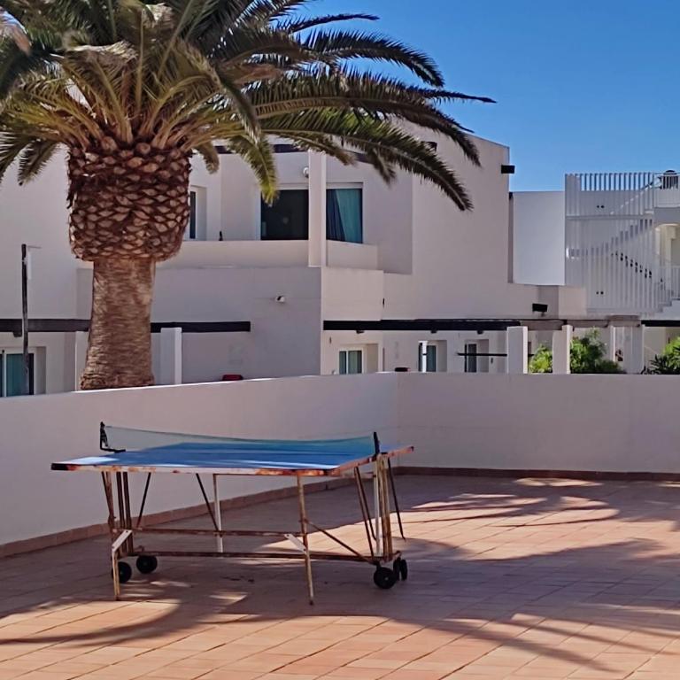 Red Hibiscus Corralejo iRent Fuerteventura - One-Bedroom Apartment - 29