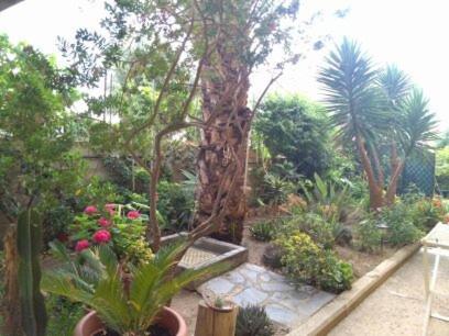 A Domo Mia - Appartamento con Veranda e Giardino - 14