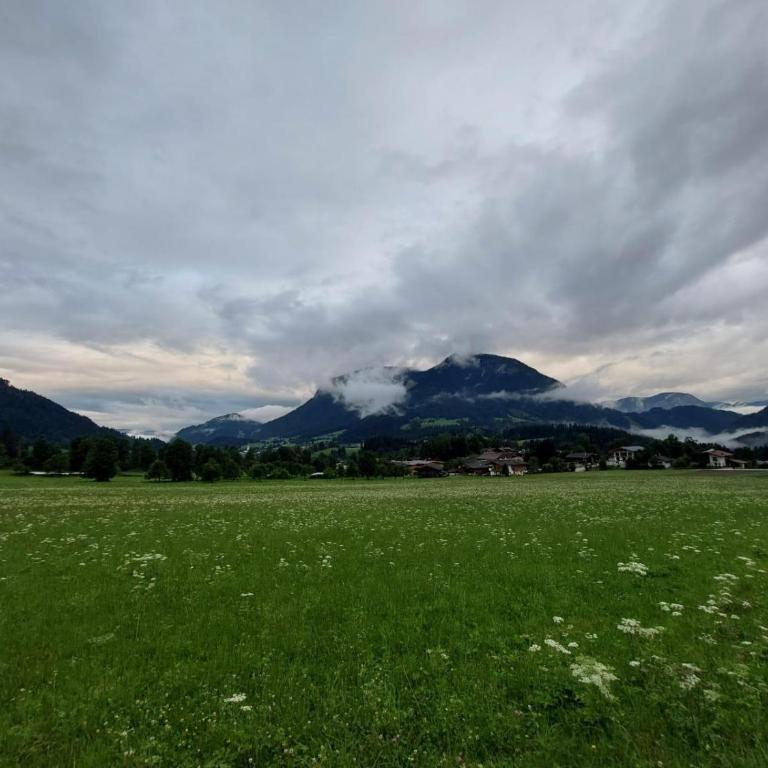 Ferienwohnung Pölvenblick - Appartamento con 1 Camera da letto con doccia - 15