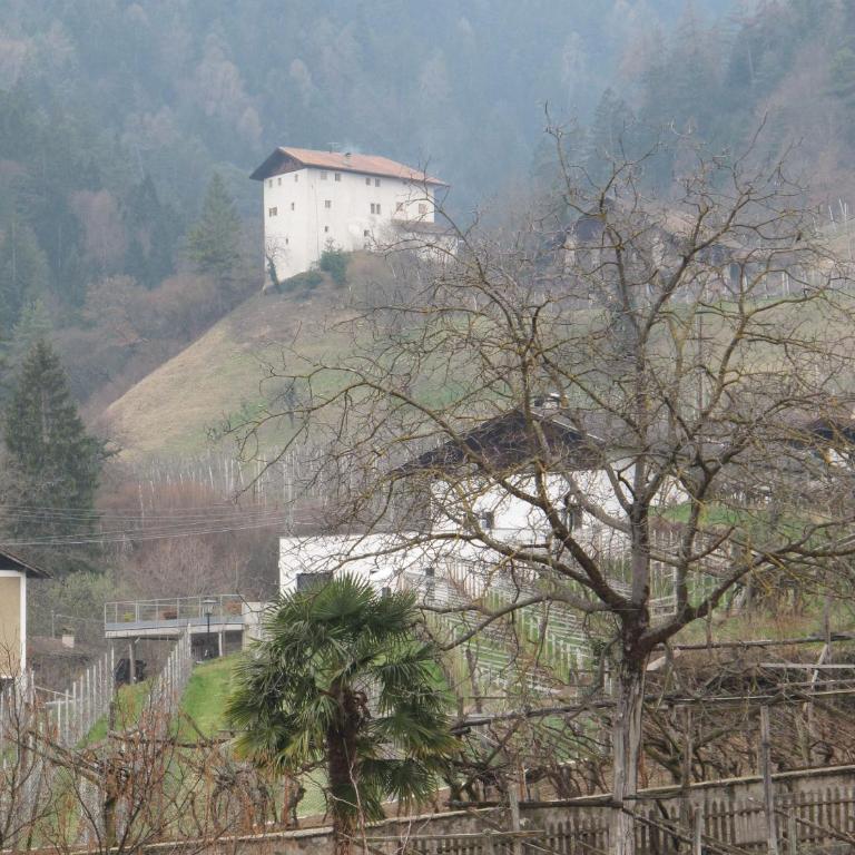 Residence Adler - Apartment mit Balkon - 4