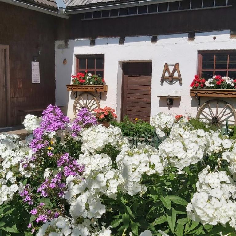 Ferienhaus SCHWEIZER Hof - Maison 3 Chambres - 20