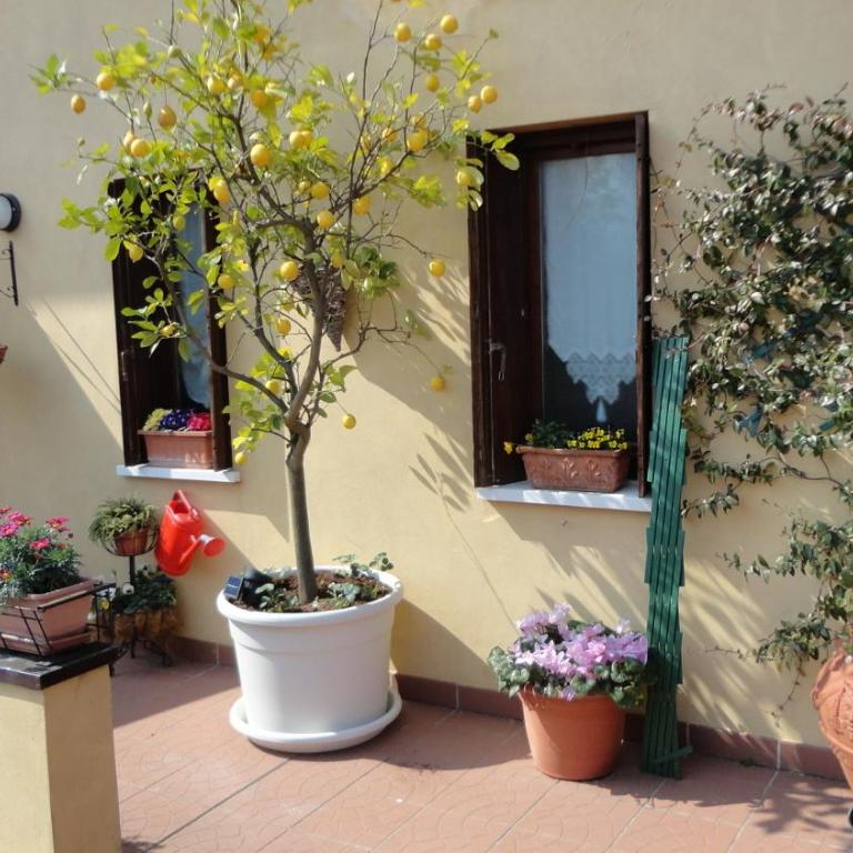 La Terrazza Appartamento turisctico Agata - Appartamento Premium con 3 Camere da Letto e Balcone - 10