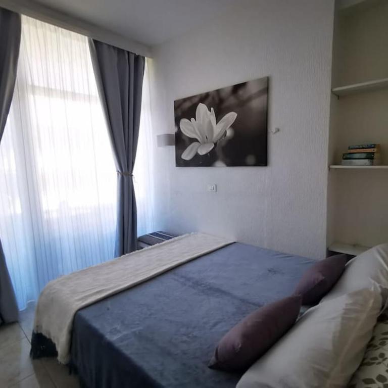 Estudio Ana - Apartamento de 1 dormitorio - 1