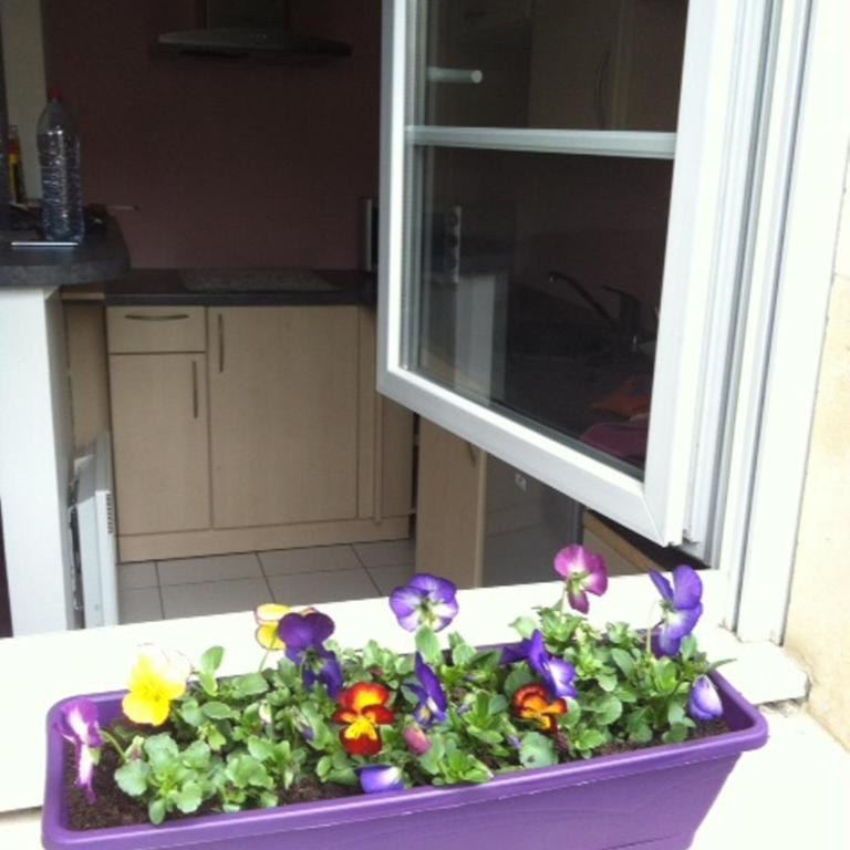 Studio Disneyland Paris - Terrasse - Studio - 19