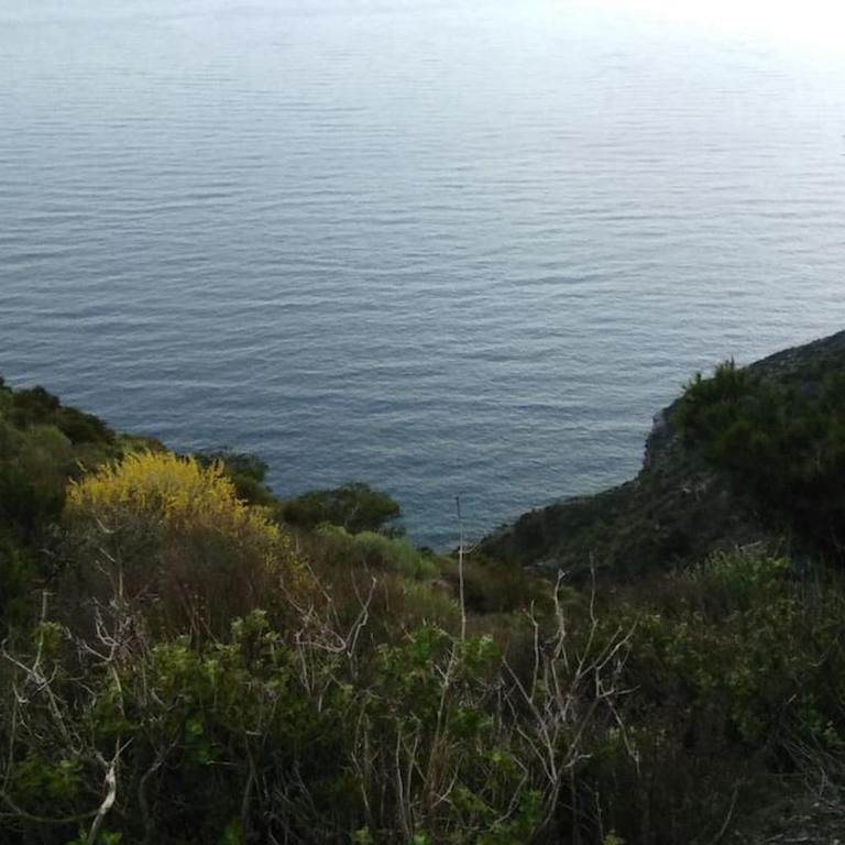 Nice apartment on the coast to relax and work - Apartamento de 1 dormitorio - 33