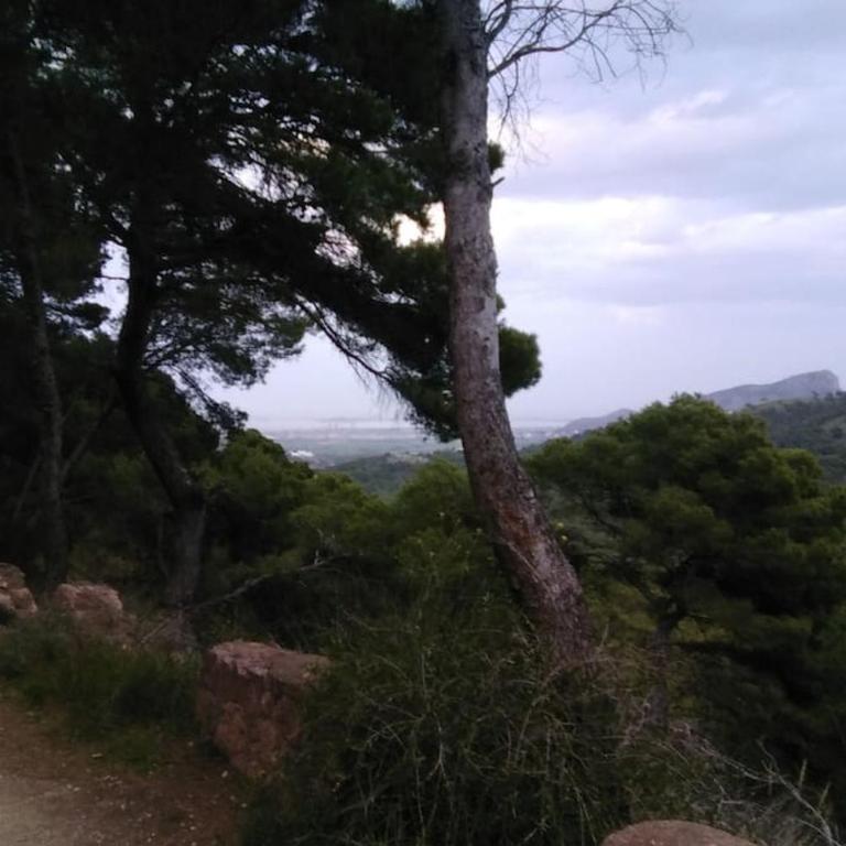 Nice apartment on the coast to relax and work - Apartamento de 1 dormitorio - 37