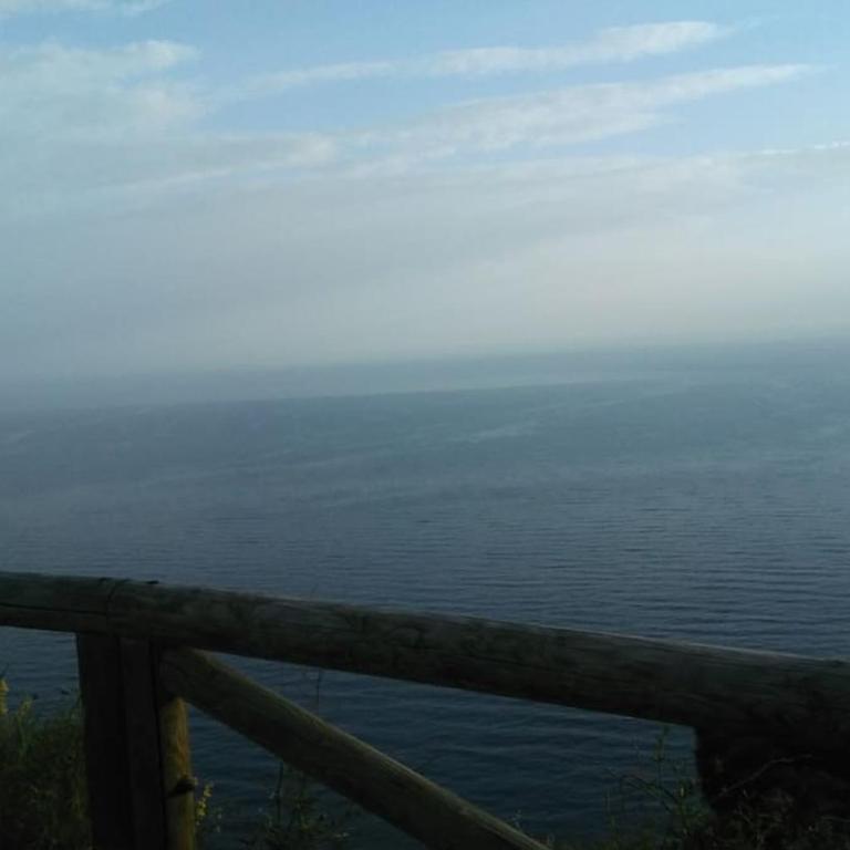 Nice apartment on the coast to relax and work - Apartamento de 1 dormitorio - 38