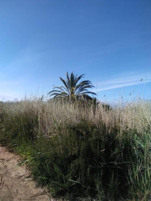 Nice apartment on the coast to relax and work - Apartamento de 1 dormitorio - 45