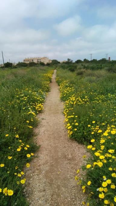 Nice apartment on the coast to relax and work - Apartamento de 1 dormitorio - 31