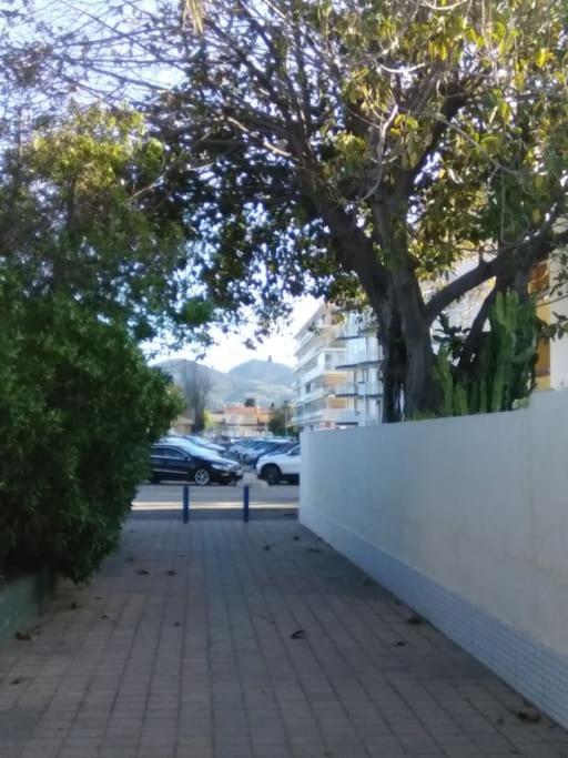 Nice apartment on the coast to relax and work - Apartamento de 1 dormitorio - 21