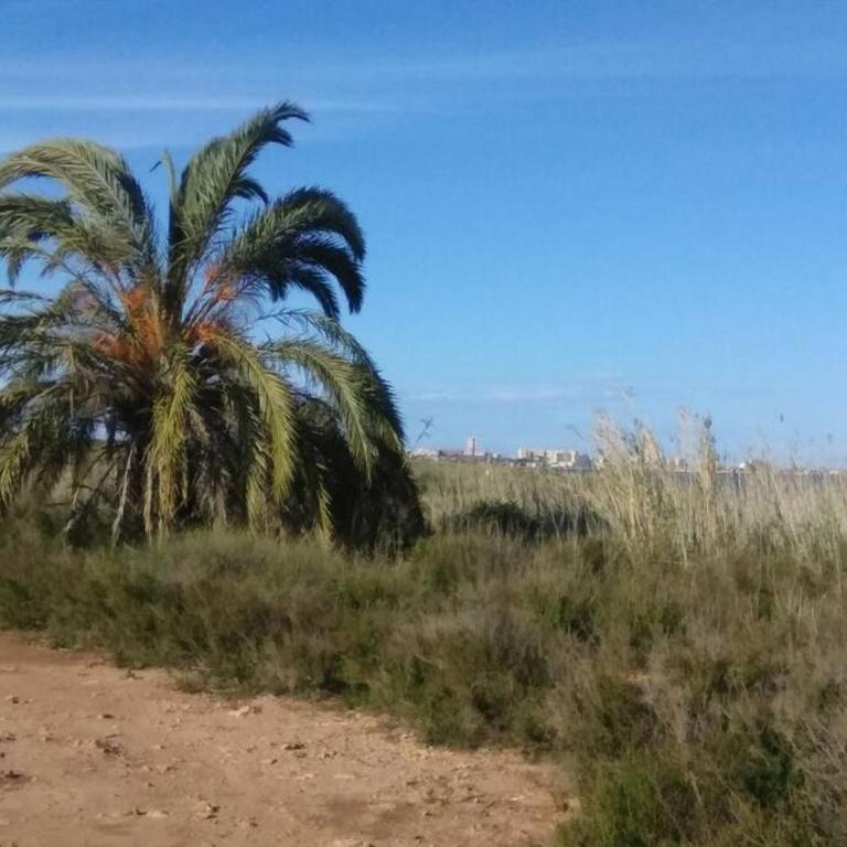 Nice apartment on the coast to relax and work - Apartamento de 1 dormitorio - 53