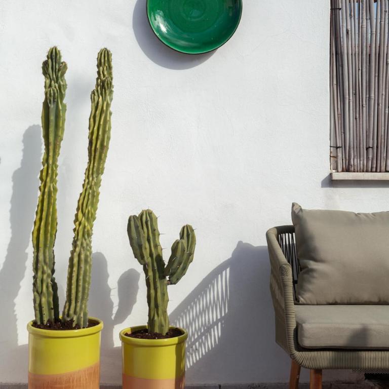 Casa Antica Pietra Ostuni - Casa con 1 Camera da Letto - 40