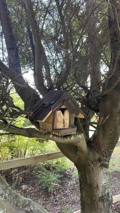 Hermosa y acogedora cabaña - Chalet de 1 dormitorio - 15