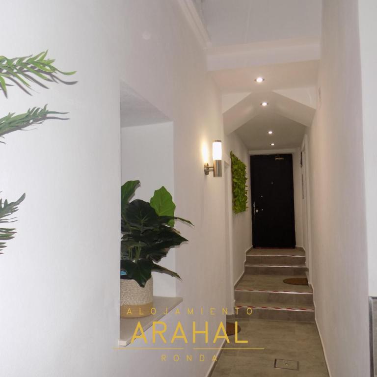 ALOJAMIENTO ARAHAL - RONDA - Apartamento - Planta baja - 10