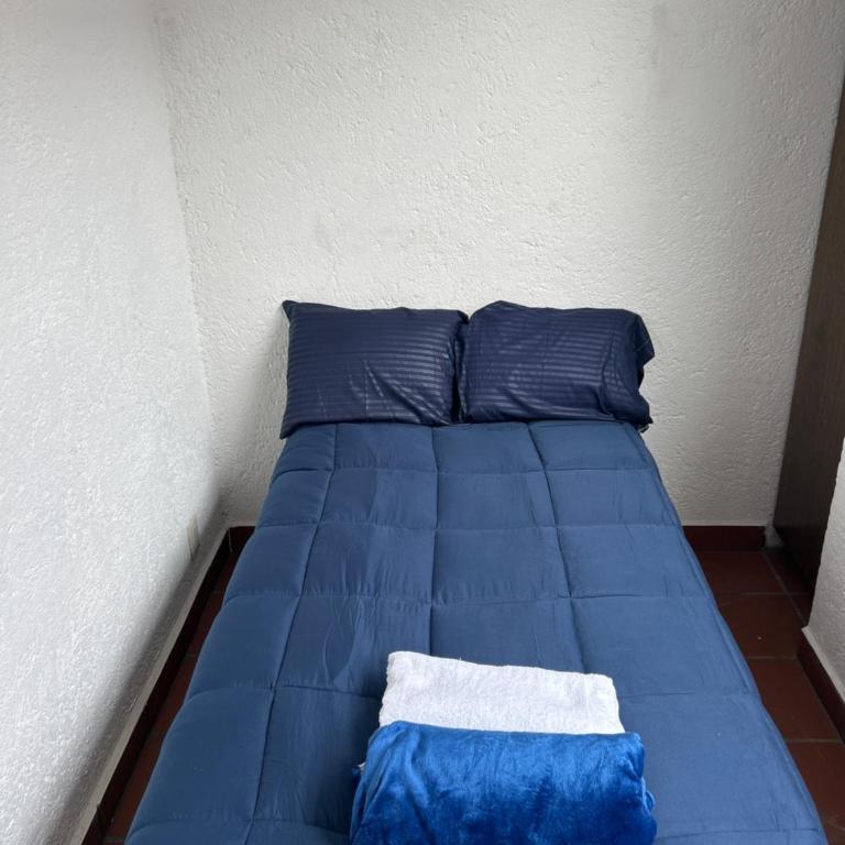 Casa Frida Coyoacan - Habitación Individual Económica - 1