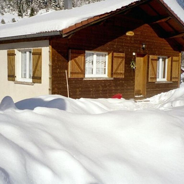 Chalet Confortable à La Bresse, Proche Ski, Wifi, Animaux Acceptés - FR-1-589-130 - Maison de Vacances (4 Adultes) - 5