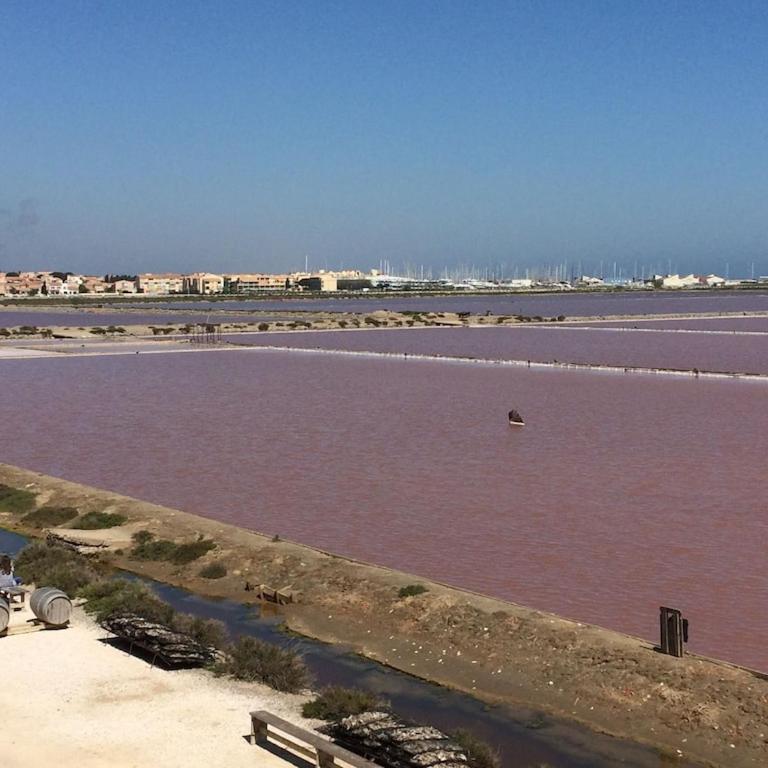 Gruissan (Aude) Appartement calme, vue sur port de plaisance -Clim, Empl.Parking - Appartement 1 Chambre - 52