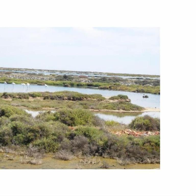 Gruissan (Aude) Appartement calme, vue sur port de plaisance -Clim, Empl.Parking - Appartement 1 Chambre - 56