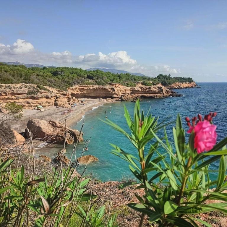 Dolphin - 4 pax - Apartamento de 2 dormitorios - 28