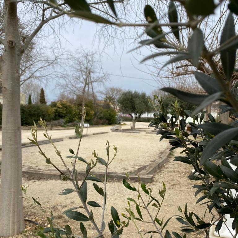 Camping L' Arlesienne - Espace pour Tente (2 Personnes) - 12