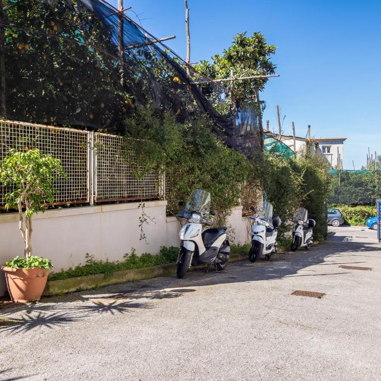 La Dolce Vita Relax - Cozy apt in Sorrento - Two-Bedroom Apartment - 33