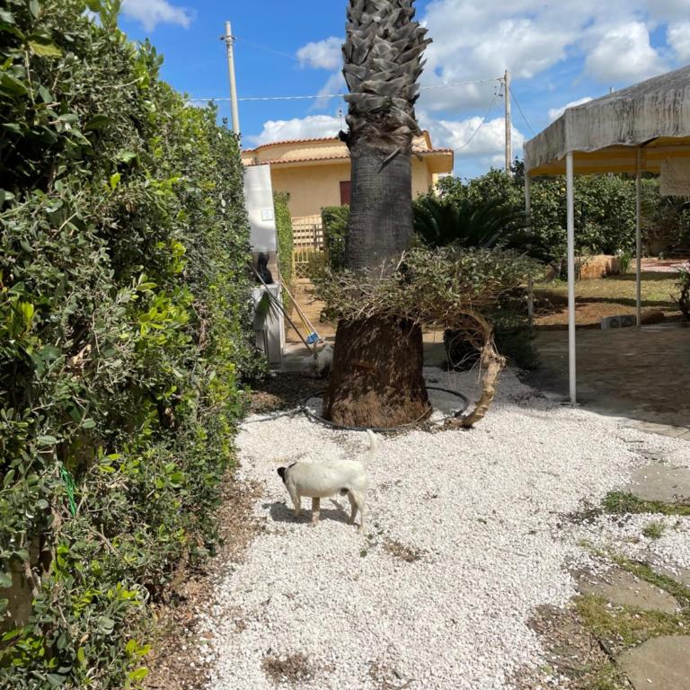 Casa vacanze da Davide b&b - Villa con 3 Camere da Letto - 15