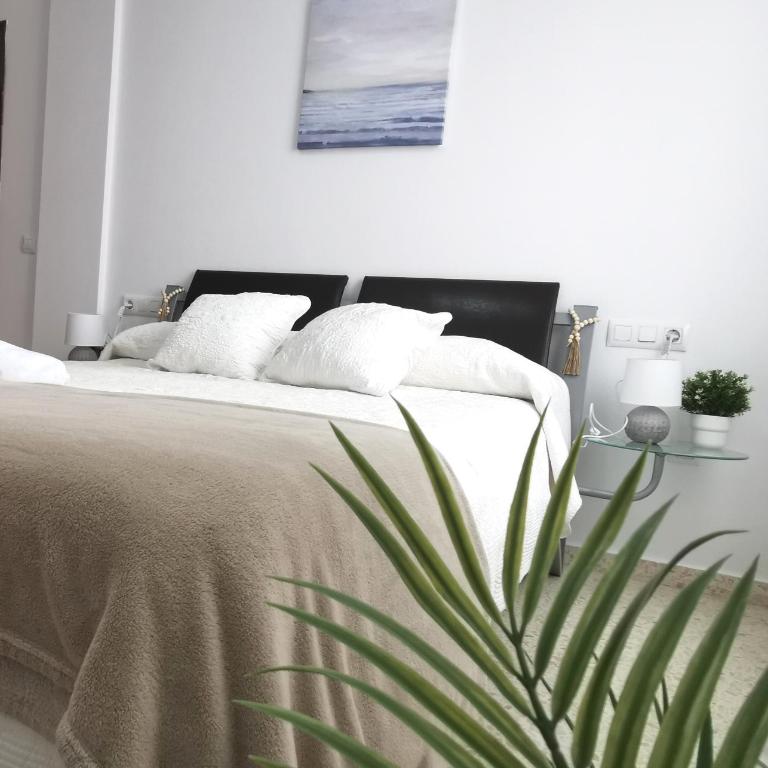 Apartamento Pirrado - Apartamento de 2 dormitorios - 1