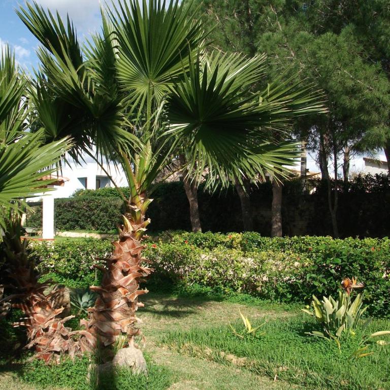 Villa Davima - Villa Deluxe - 23
