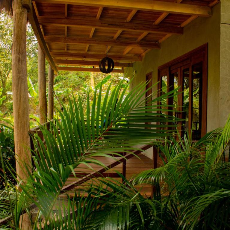 Hotel Isabella Tayrona - Bungalow Deluxe con vistas al jardín - 20