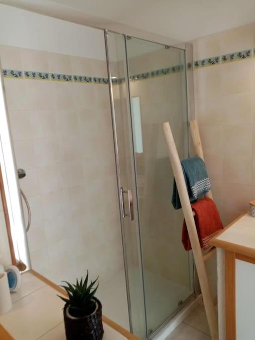 Les Orangers de Santa Lucia, vue mer et port, St Raphaël - Apartment mit 1 Schlafzimmer - 16