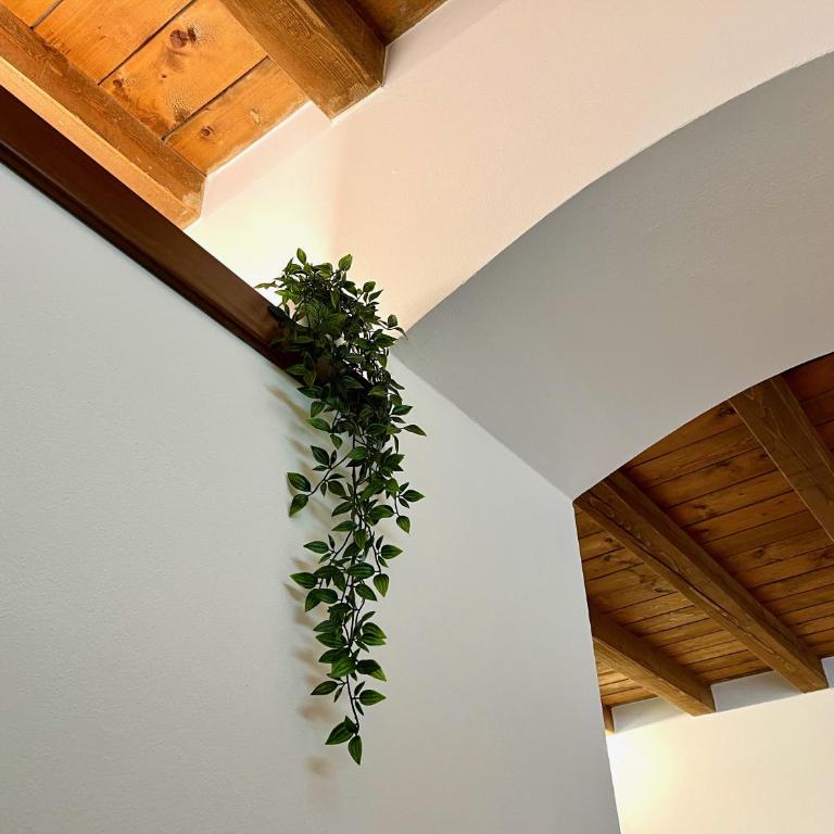 Il balconcino - One-Bedroom Apartment - 14