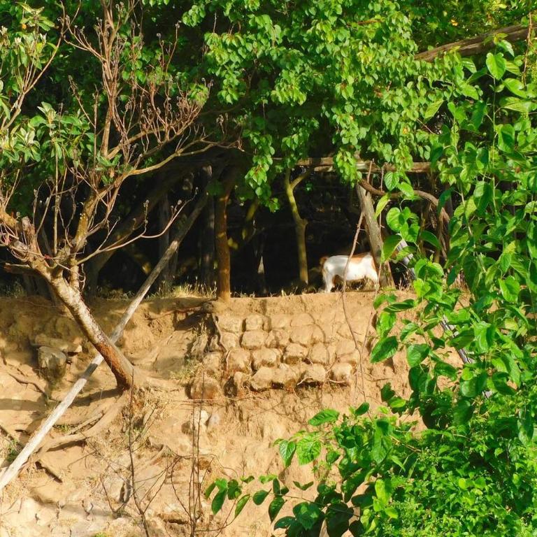 Appartamento Villa Bianca su "Corso ITALIA" - Appartamento con 2 Camere da Letto - 37