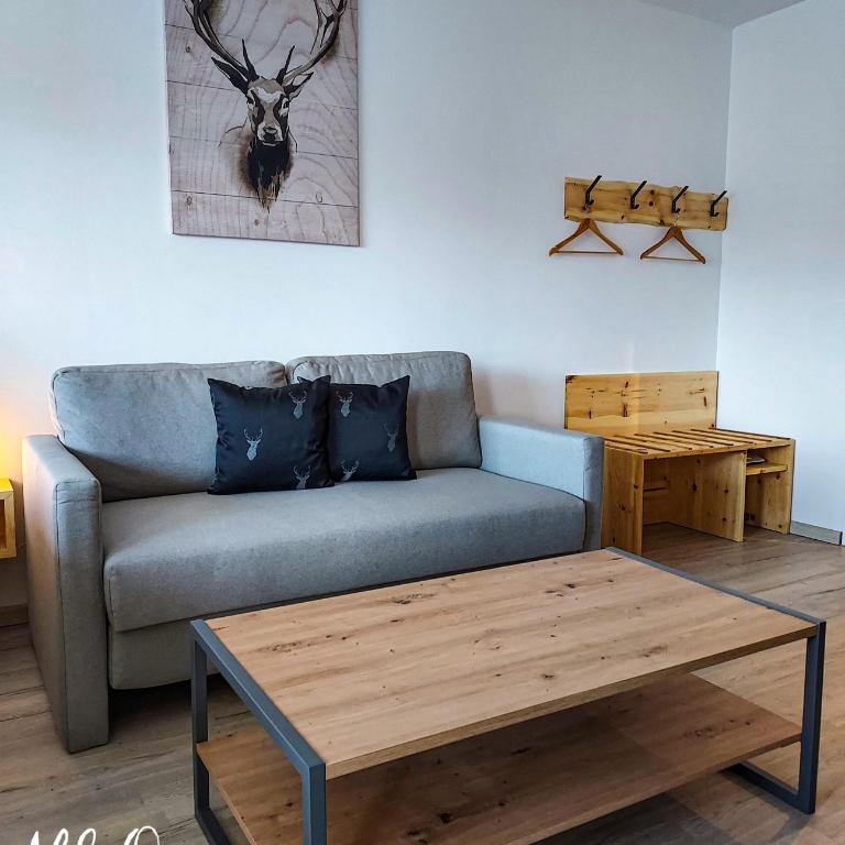 Ferienwohnung AllgOy - Appartement 1 Chambre - 7