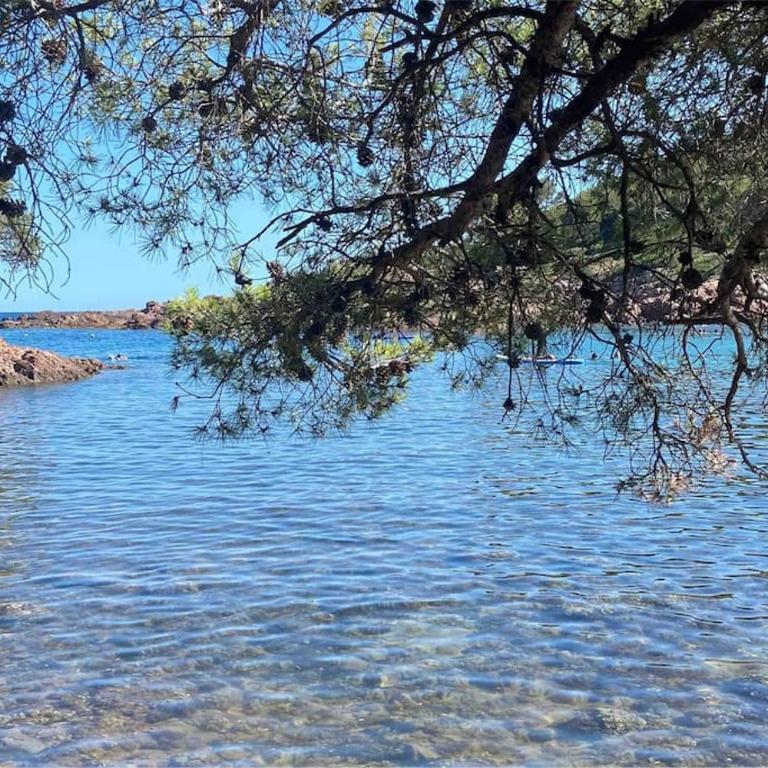 Studio Green Apple Cap Esterel - Studio with Sea View - 23